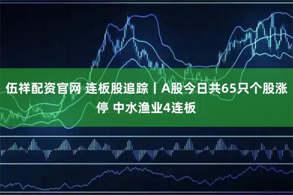 伍祥配资官网 连板股追踪丨A股今日共65只个股涨停 中水渔业4连板